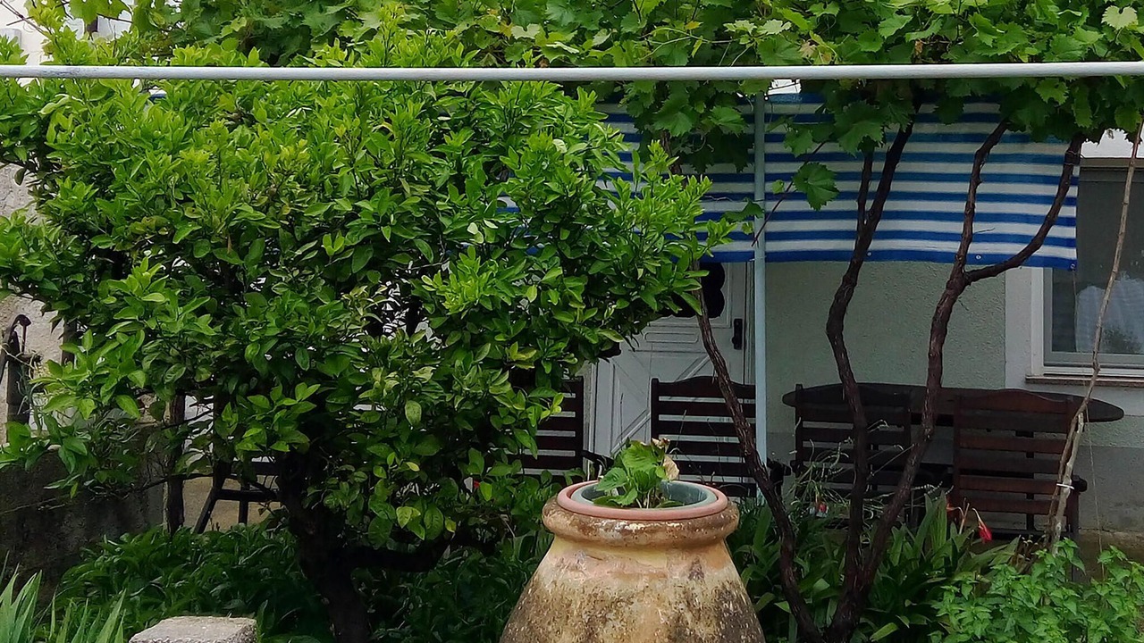 Photo of Outdoor in Olib