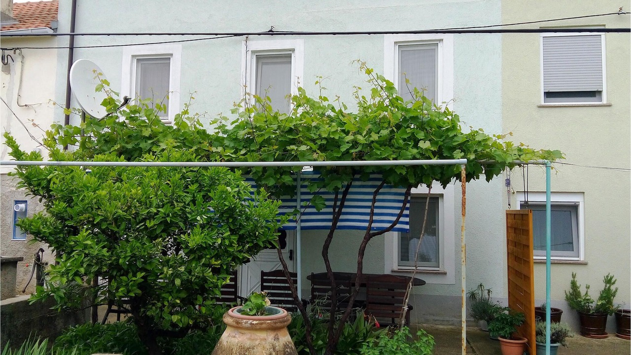 Photo of Outdoor in Olib