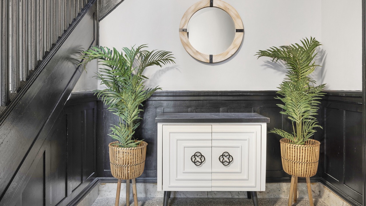 Photo of Others in North Brookline