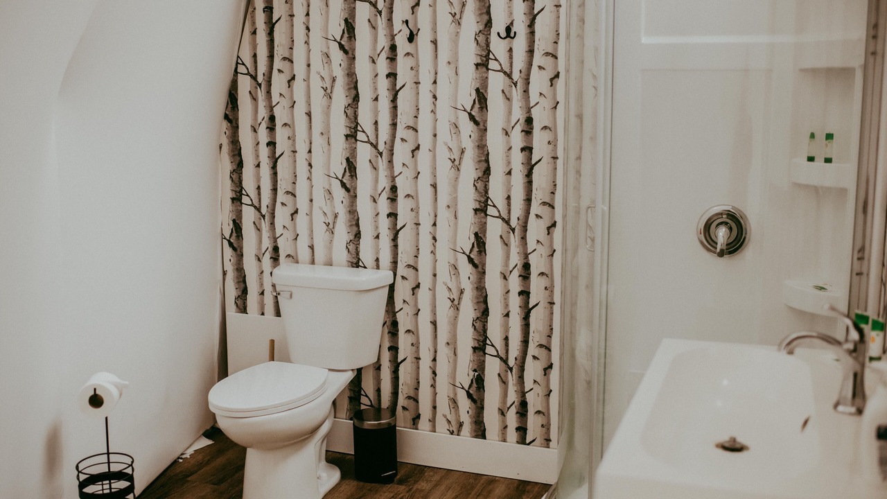 Photo of Bathroom in Waterborough