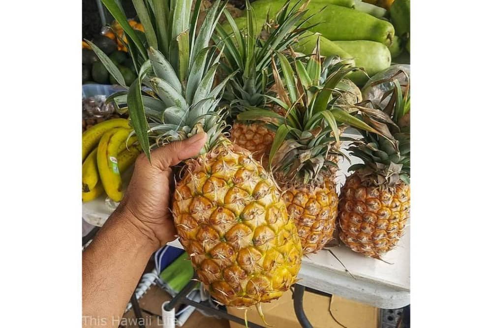 Photo of Others in Kalihi Valley