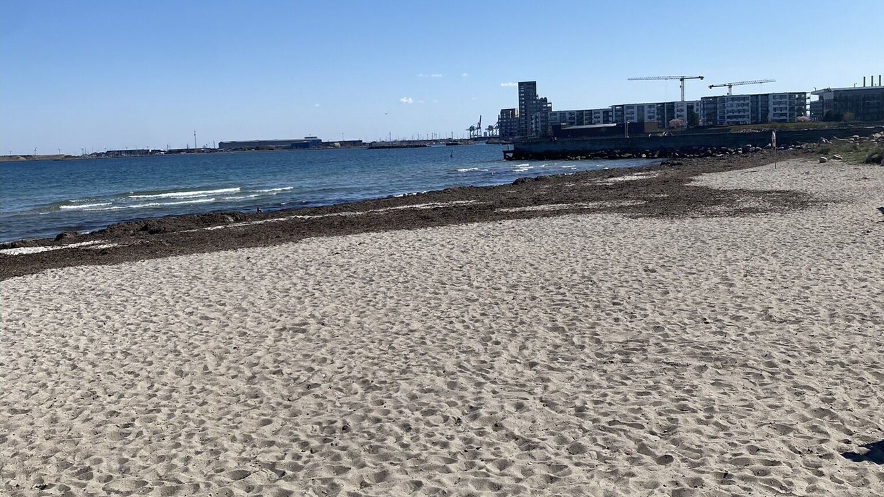 Photo of Others in Hellerup
