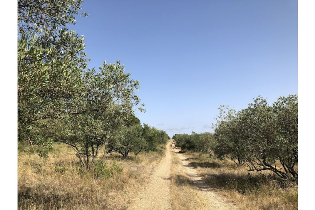 Photo of Others in Villardonnel