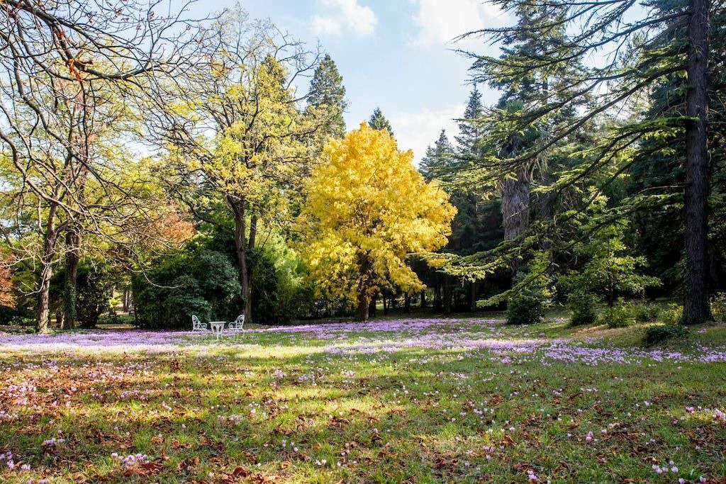 Photo of Outdoor in Villardonnel
