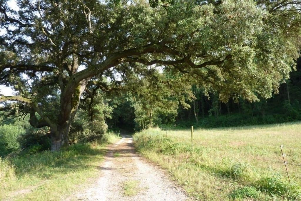 Photo of Outdoor in Villardonnel
