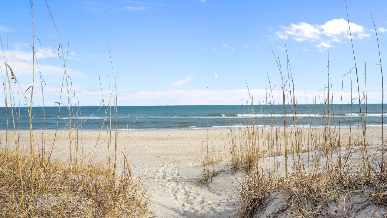 Photo of Others in North Carolina Coast