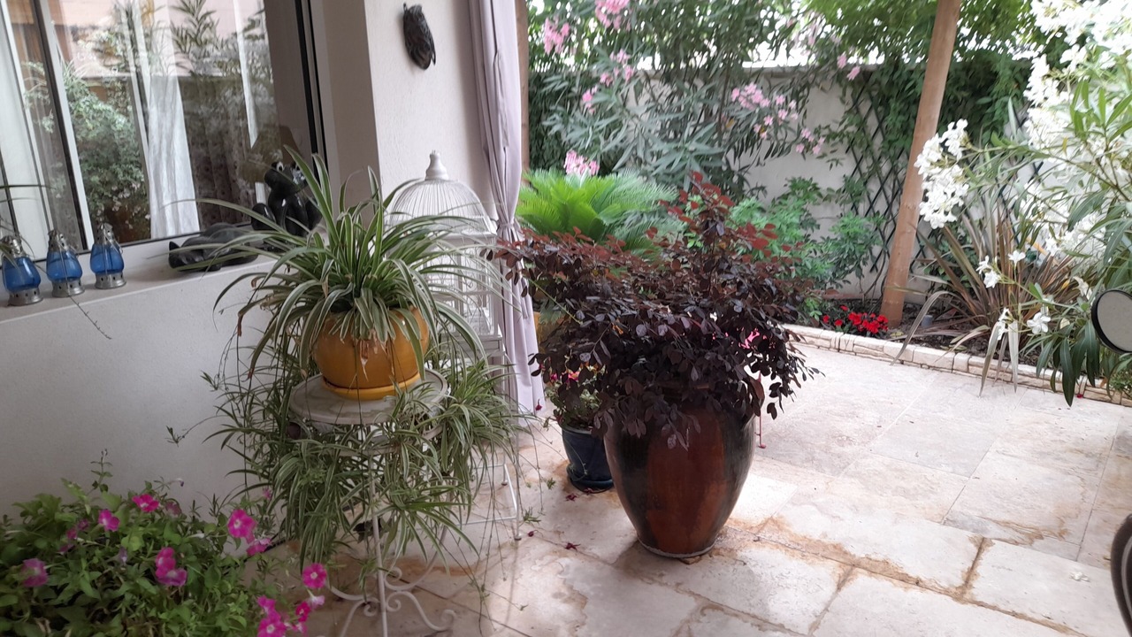 Photo of Patio Balcony in Jonquieres-Saint-Vincent