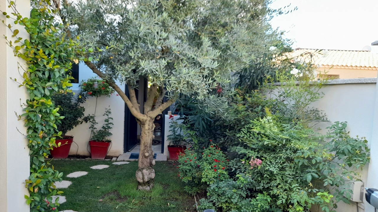 Photo of Outdoor in Jonquieres-Saint-Vincent