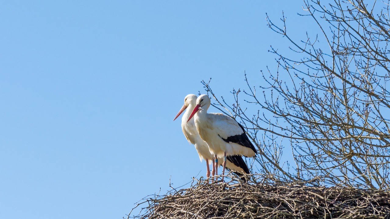 Photo of Outdoor in Tercis-les-Bains