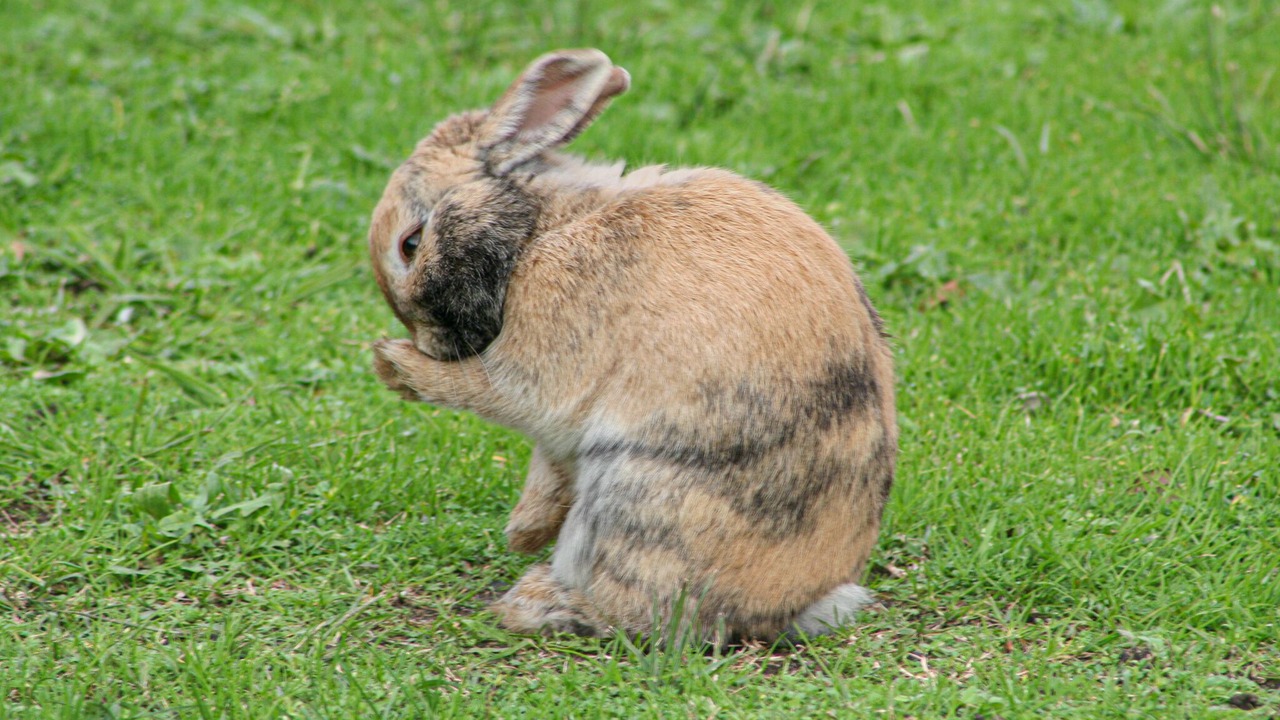 Photo of Outdoor in Tercis-les-Bains