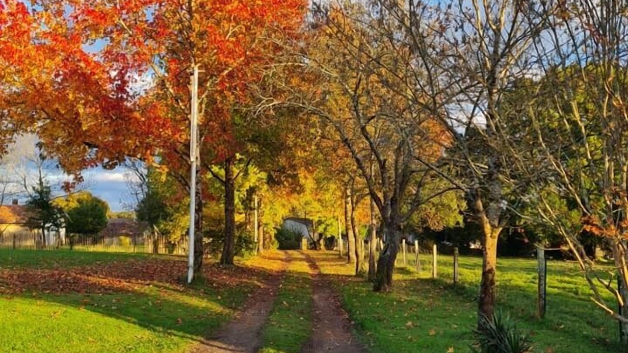Photo of Outdoor in Tercis-les-Bains