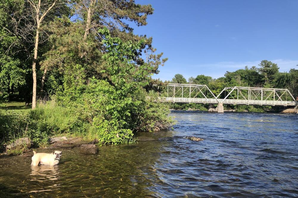 Photo of Outdoor in Youngs Point