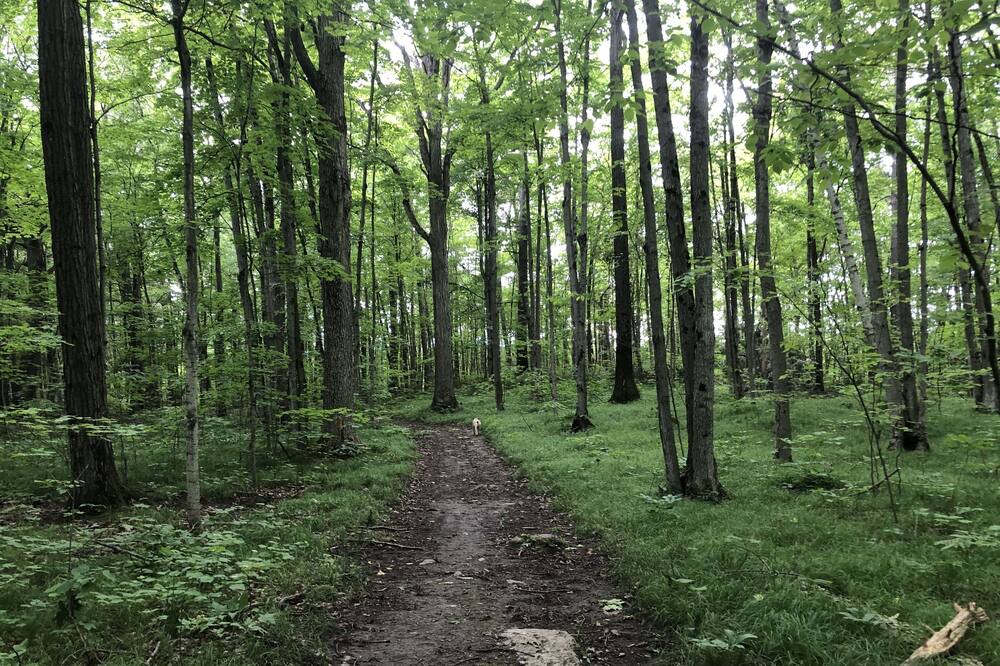 Photo of Outdoor in Youngs Point