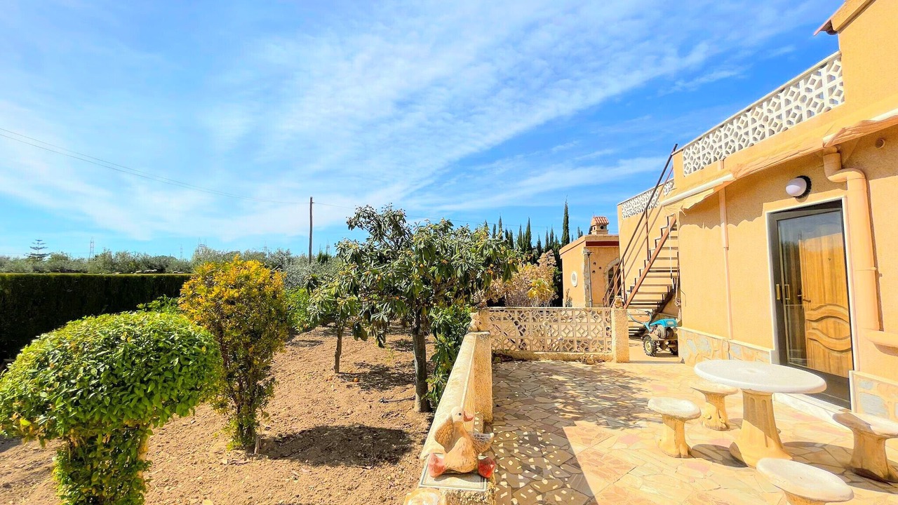 Photo of Outdoor in Elche
