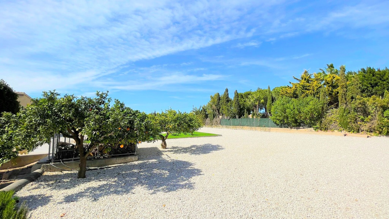 Photo of Outdoor in Elche
