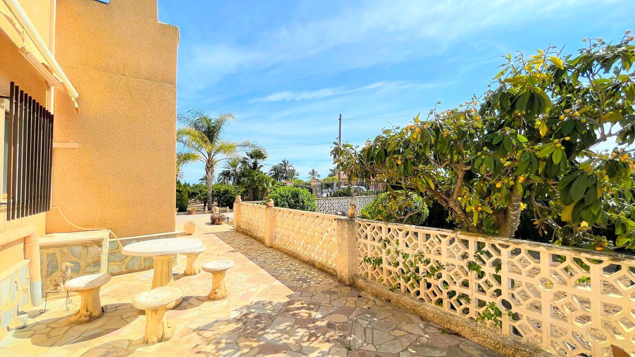 Photo of Outdoor in Elche