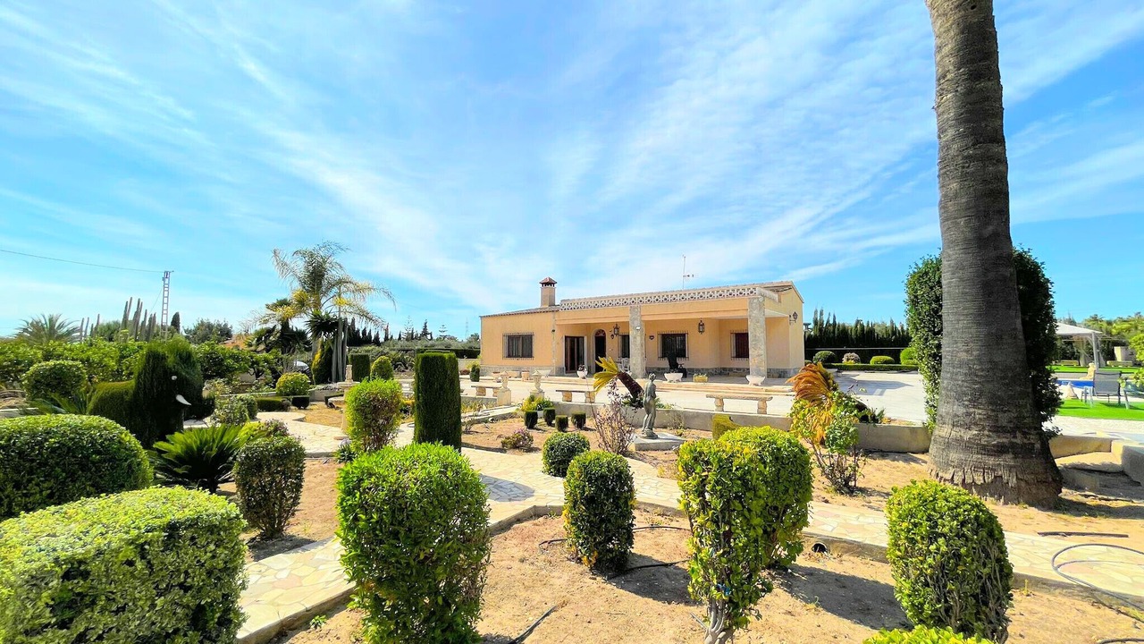 Photo of Outdoor in Elche