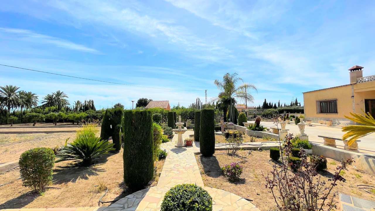 Photo of Outdoor in Elche