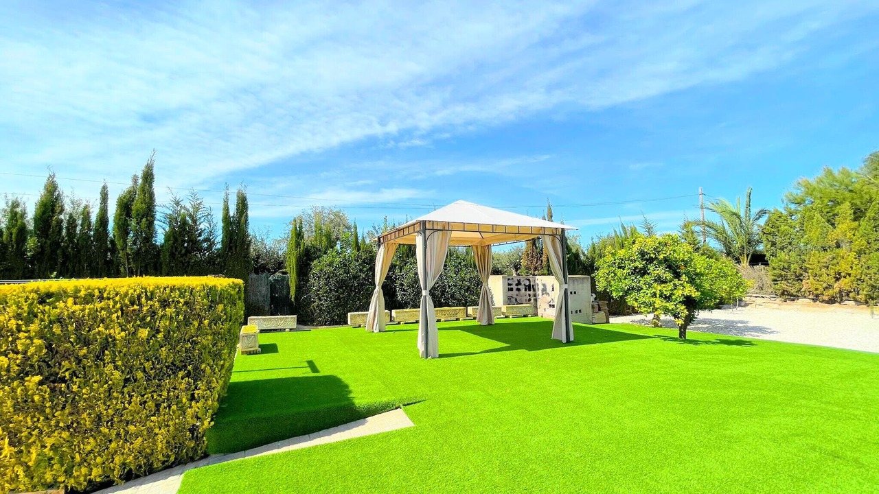 Photo of Outdoor in Elche