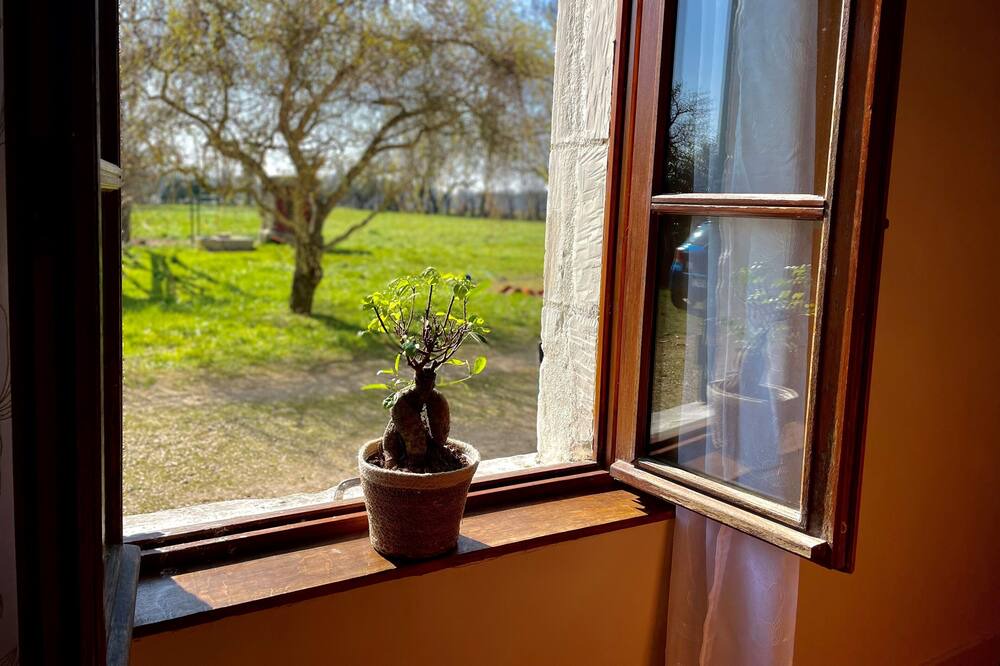 Photo of Others in Sainte-Gemme