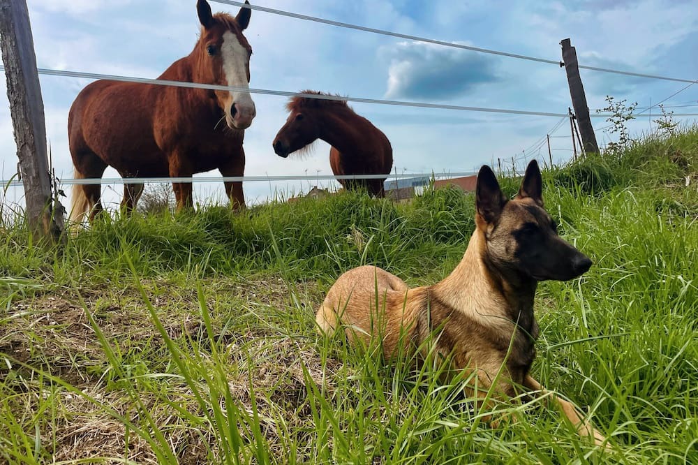 Photo of Others in Sainte-Gemme