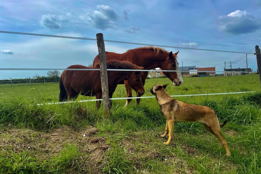 Photo of Others in Sainte-Gemme