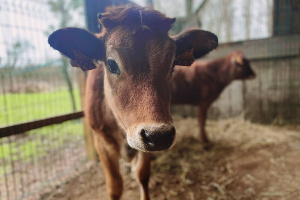 Photo of Others in Sainte-Gemme