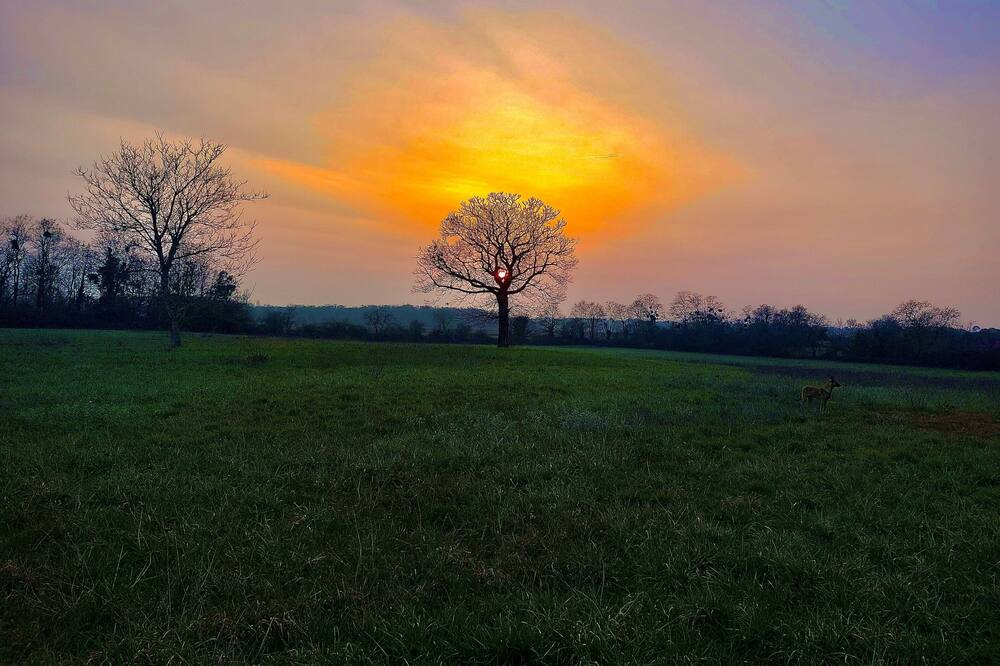 Photo of Others in Sainte-Gemme