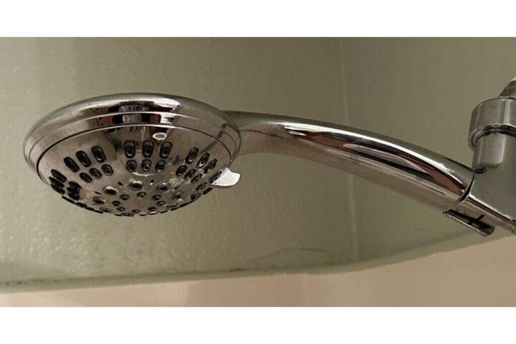 Photo of Others in Carmichael