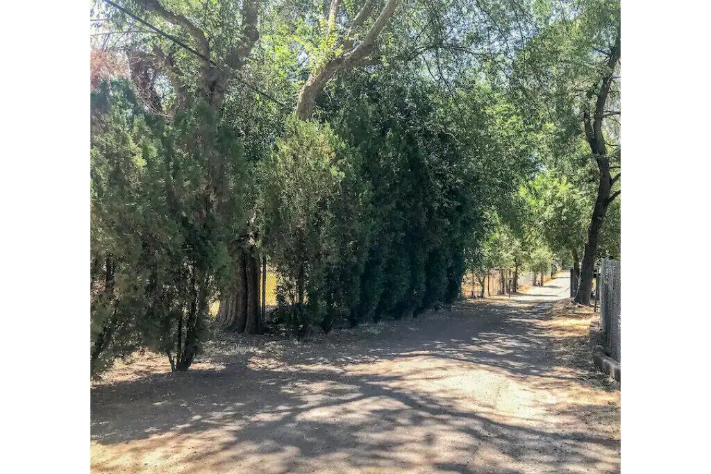 Photo of Outdoor in Carmichael