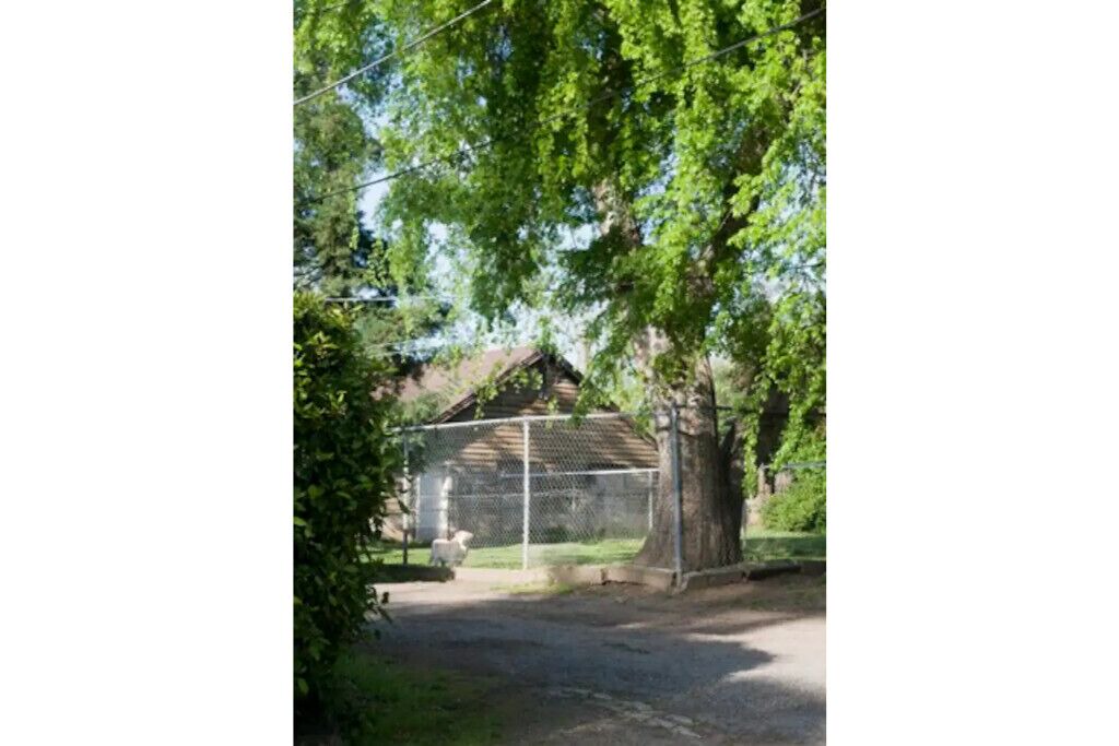 Photo of Outdoor in Carmichael