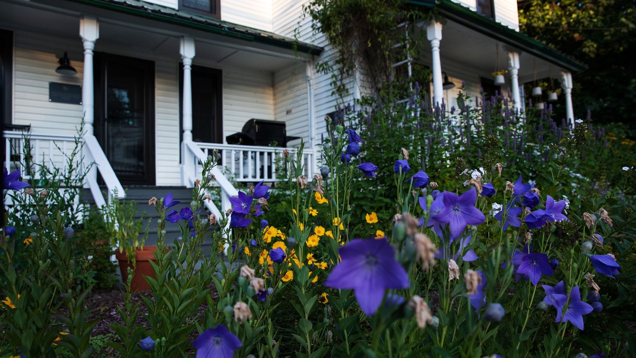 Photo of Outdoor in Roscoe