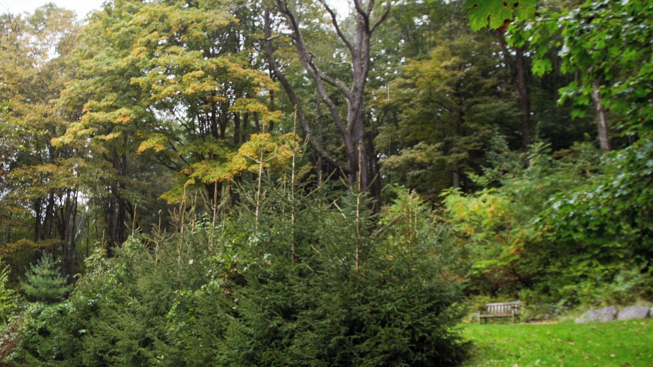 Photo of Outdoor in Roscoe