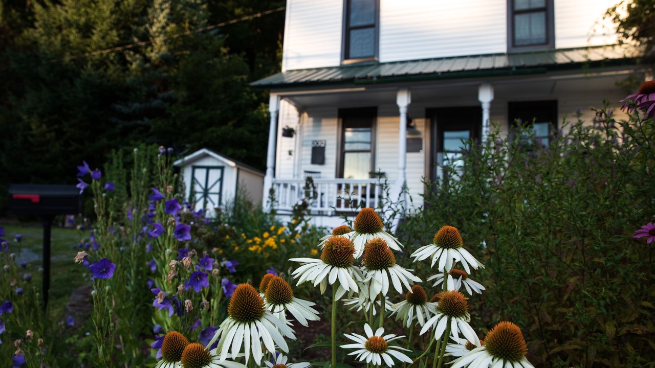 Photo of Outdoor in Roscoe