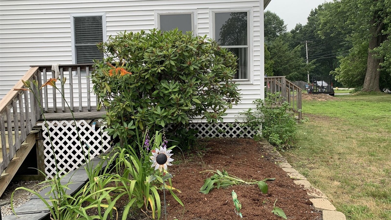 Photo of Outdoor in Camp Ellis