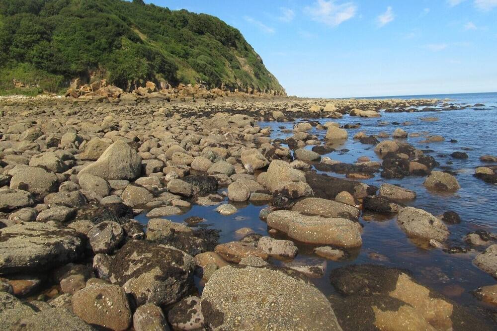 Photo of Others in Rastrick