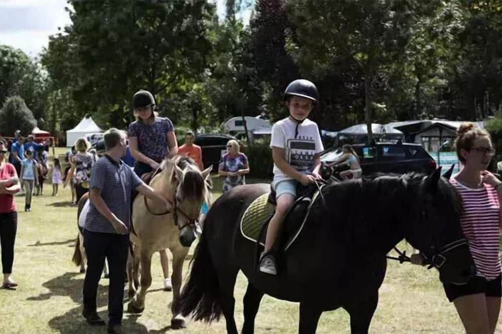 Photo of Outdoor in Varennes sur Loire