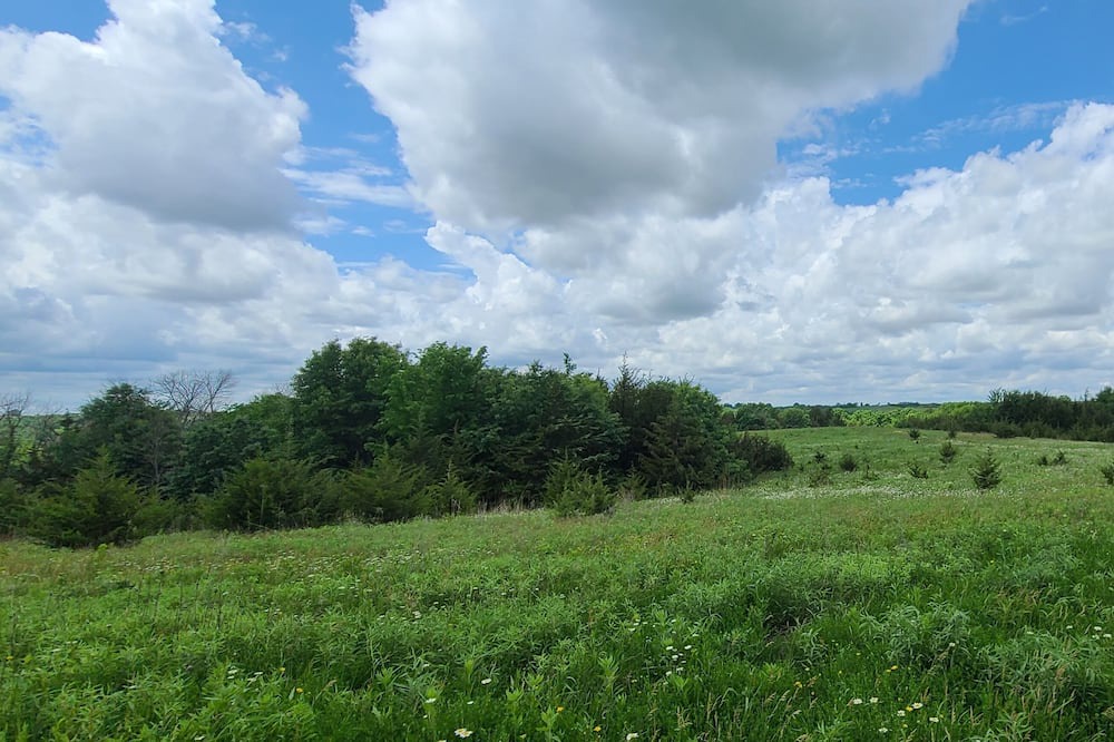 Photo of Outdoor in Union County