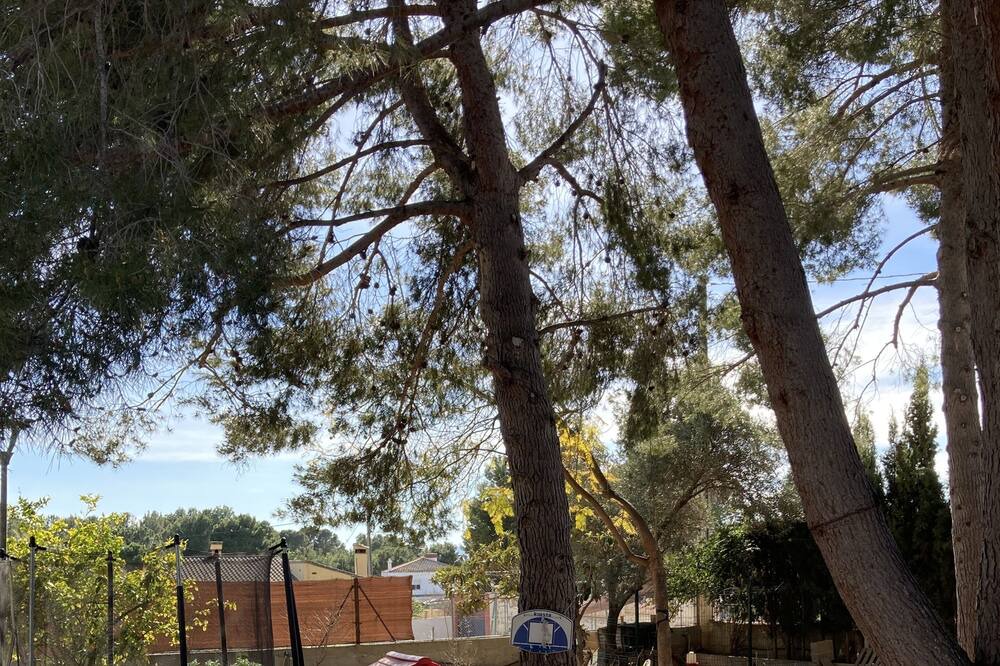 Photo of Outdoor in Lliria
