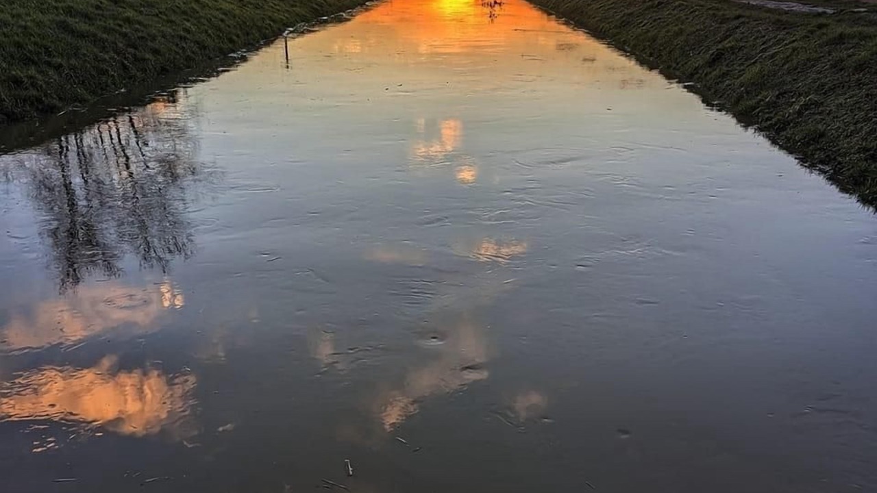 Photo of Others in Cambridge