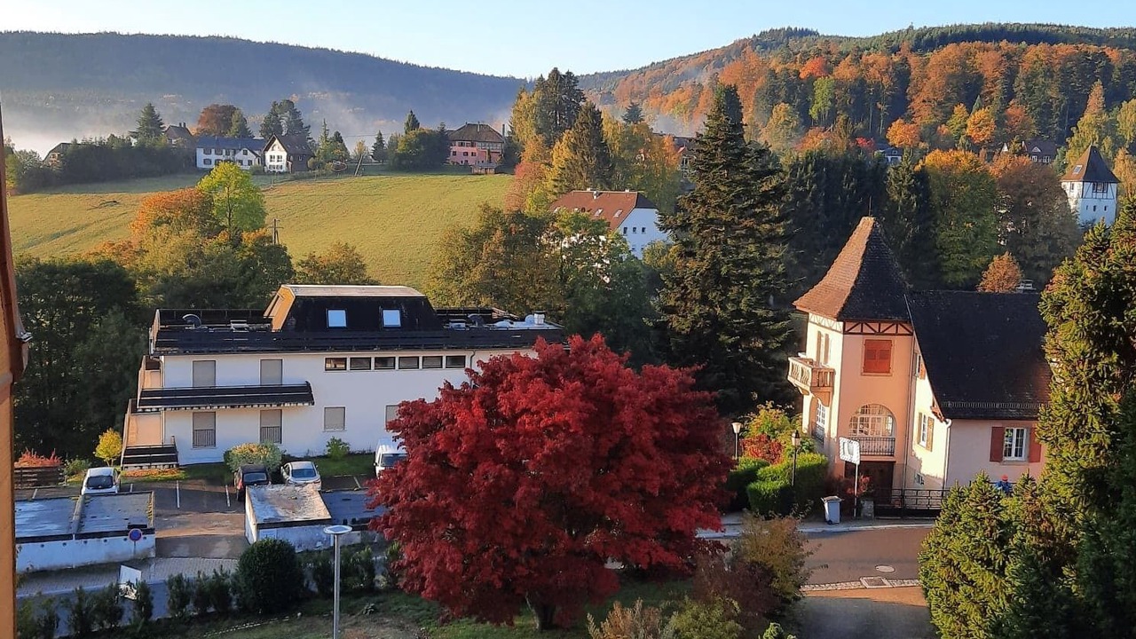 Photo of Outdoor in Le Hohwald