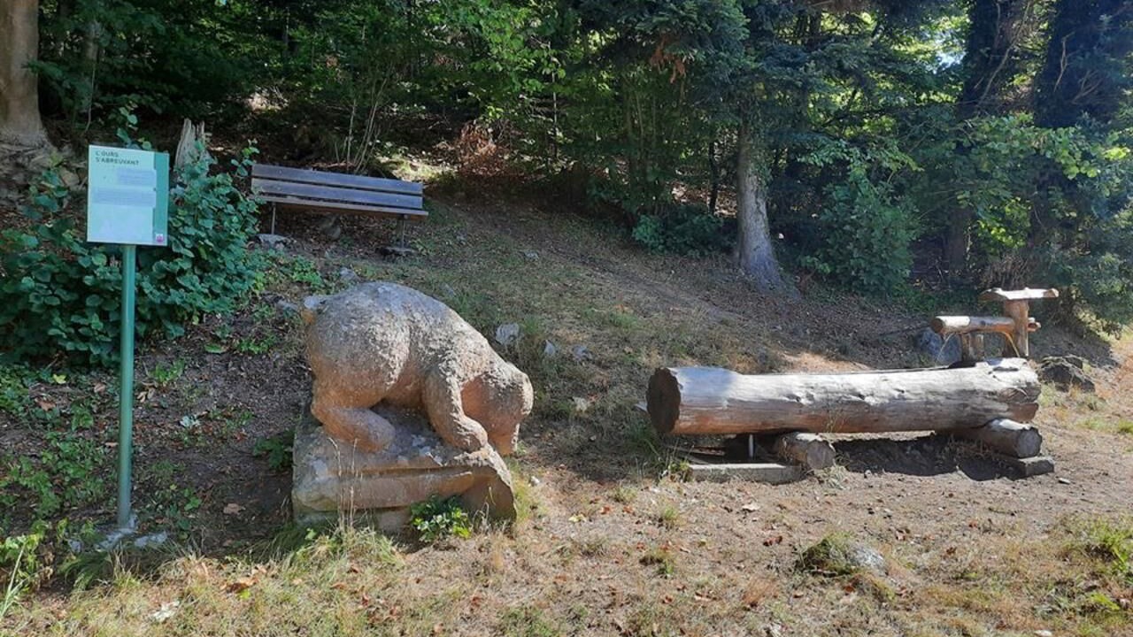 Photo of Outdoor in Le Hohwald