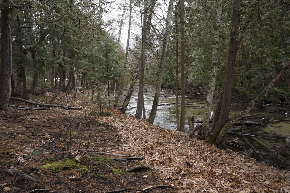 Photo of Outdoor in Maple City