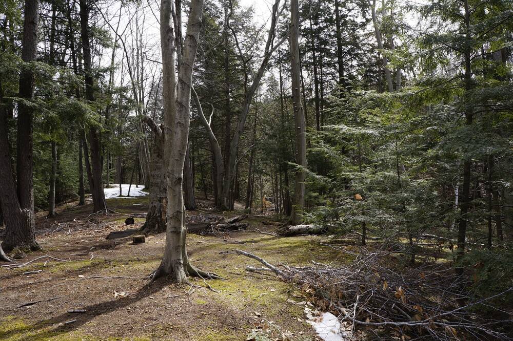Photo of Outdoor in Maple City