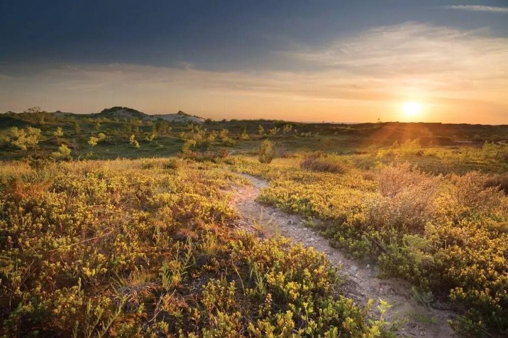 Photo of Outdoor in Maple City