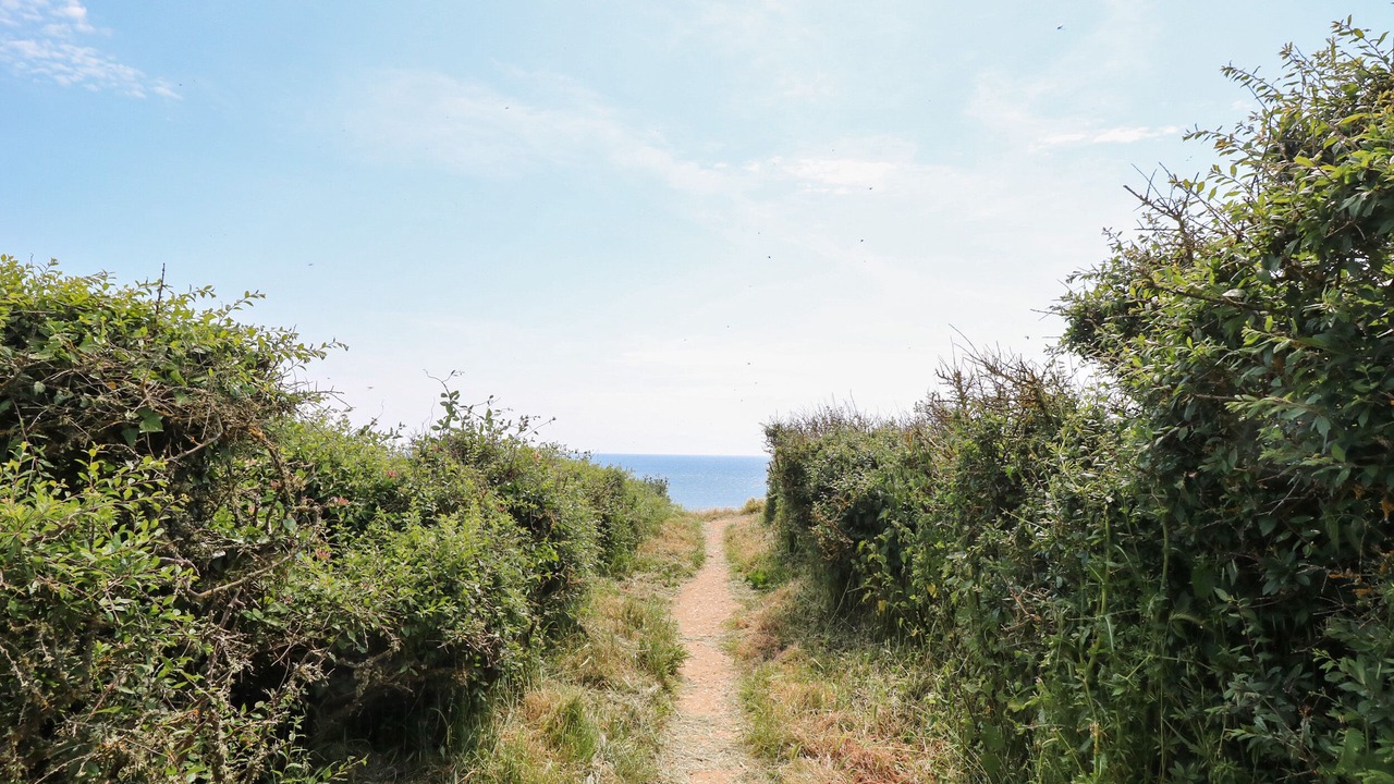 Photo of Others in Brighstone