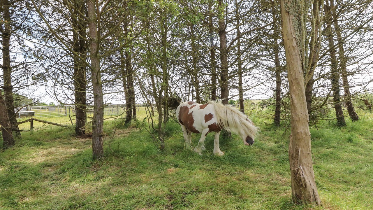 Photo of Others in Brighstone