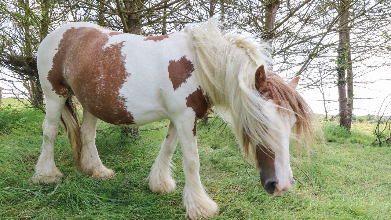 Photo of Others in Brighstone