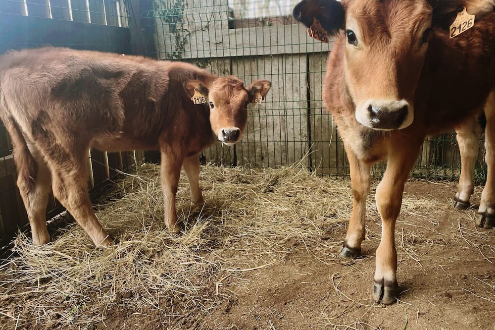 Photo of Others in Sainte-Gemme