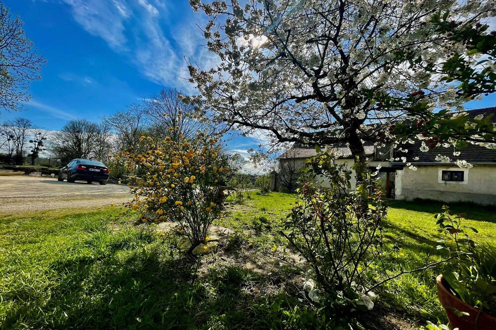 Photo of Others in Sainte-Gemme